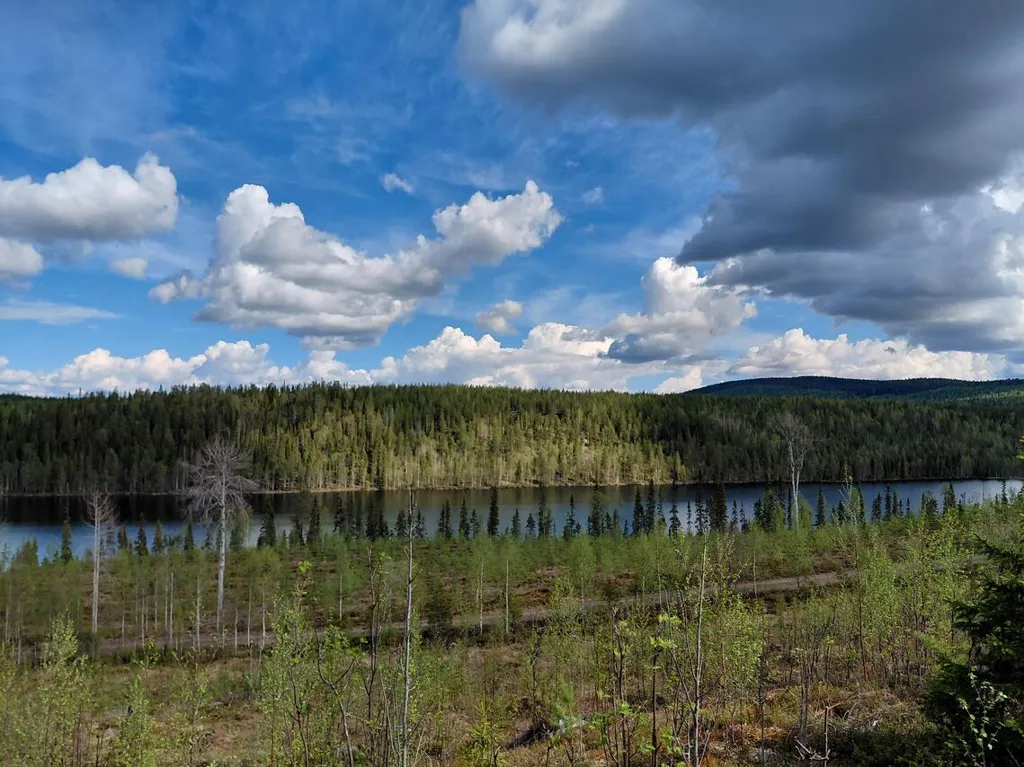 Cottage with Lake View in Kuusamo