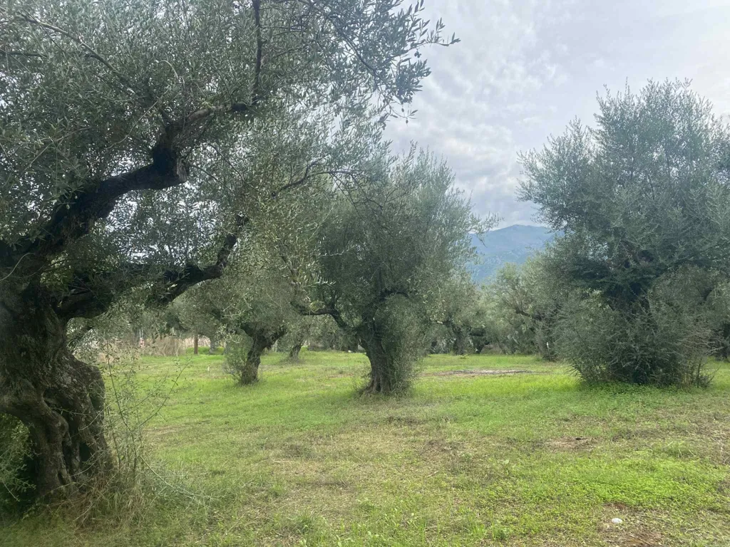 Aed - Investment Plot with Development Potential in Kalymnos