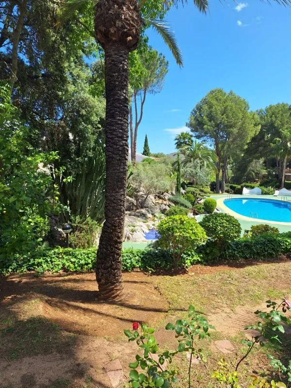 pool_area