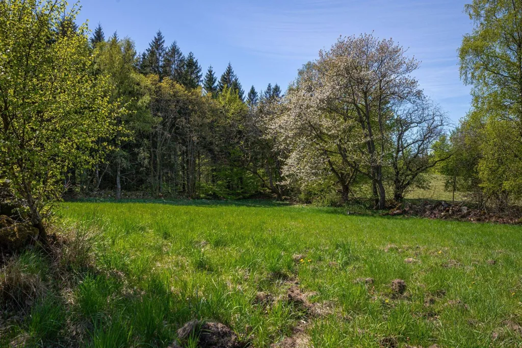 Jardin - Charming Farm with Woodland near Hjärnarp