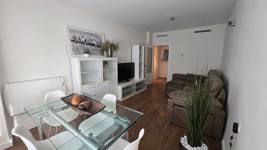 Elutuba - Reformed Flat with Terrace in El Cano