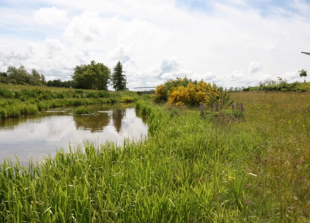 Year-Round Plot with 5G Coverage in Skjern