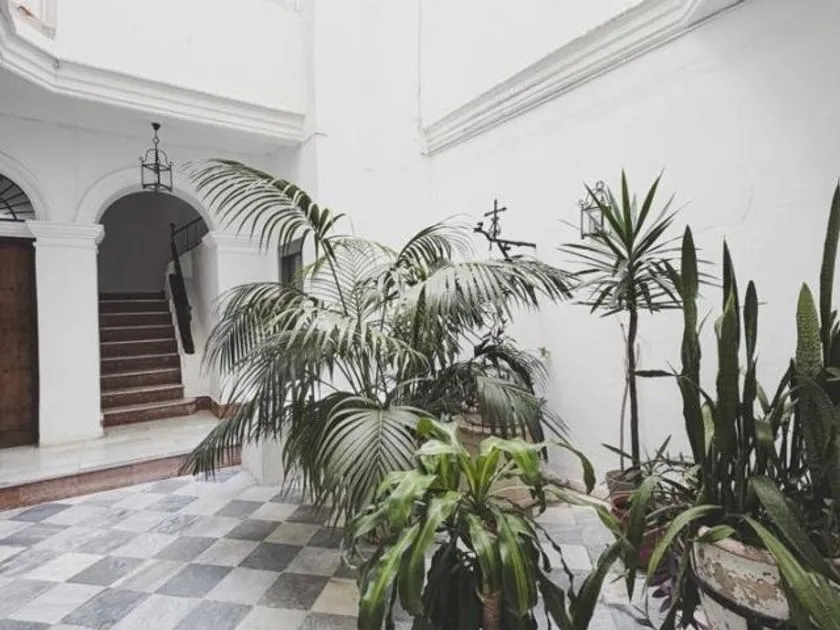 Jardin - Historic Flat with Balcony in Plaza España