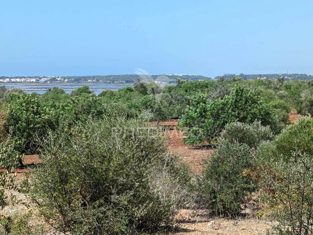 Jardin - Herdade with Ruin in Castro Marim