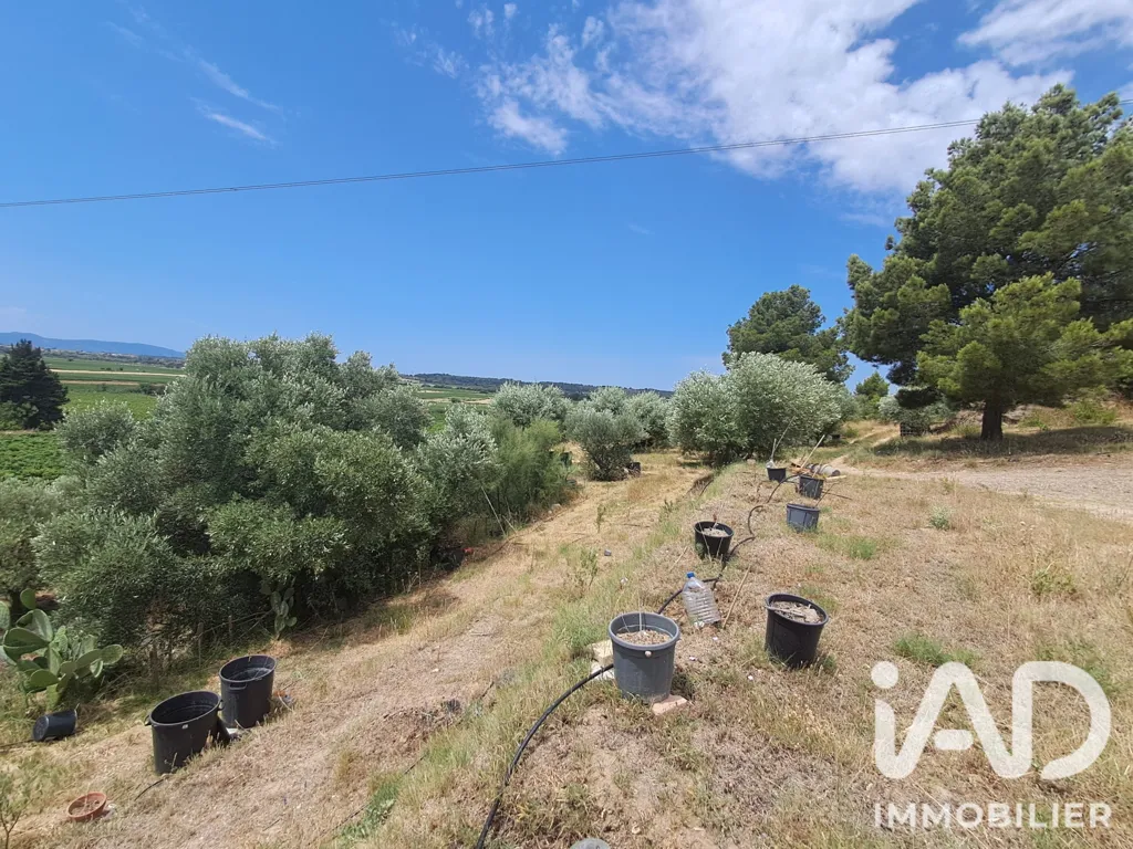 Jardin - Terrain Agricole avec Verger à Azille