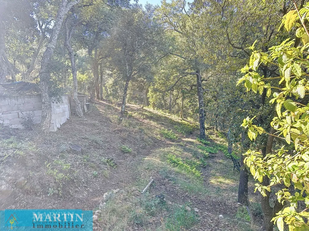 Aed - Villa with Garden View in Le Boulou