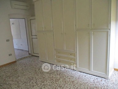 Toad - Apartment with Terrace in Bientina Centre