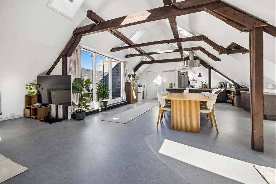 Séjour - Mixed-Use Property with Conversion Potential in Aalborg