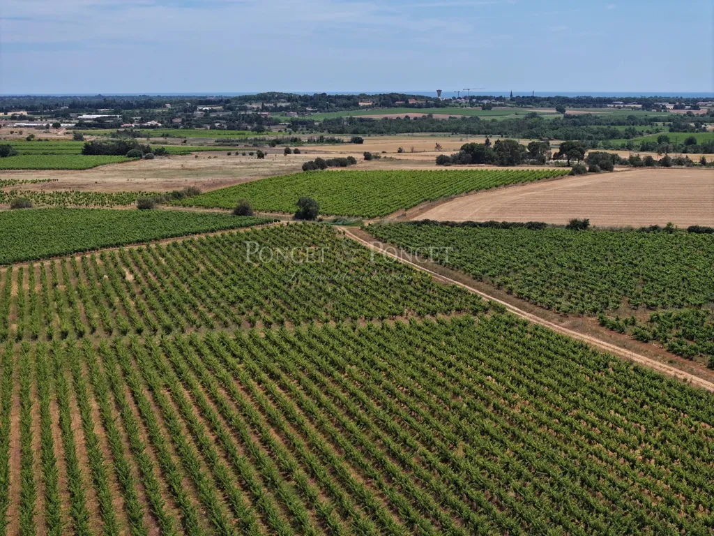 Õhuvaade - Vineyard Estate with Pool near Agde