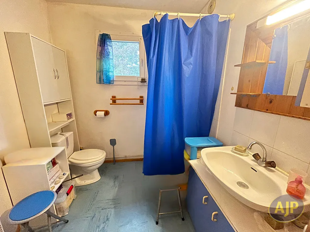 Bagni - 1-Bedroom Apartment with River View in Nantes