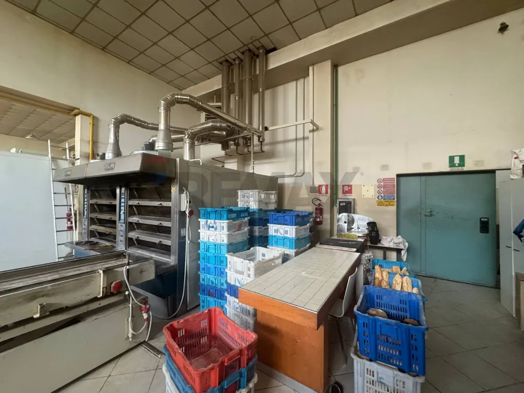 Pesuköök - Commercial Lab with Open Plan in Magenta