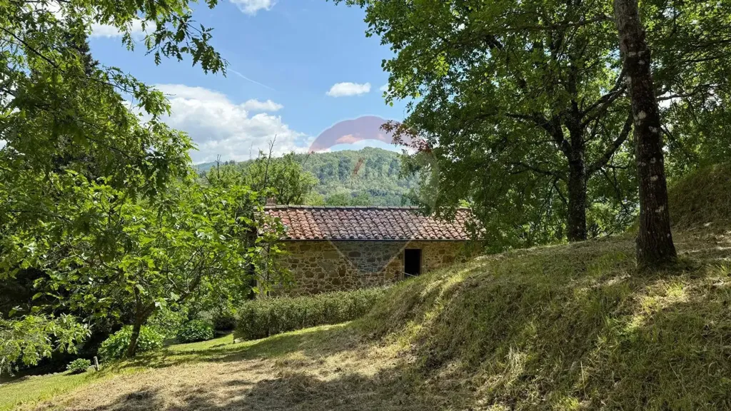 Extérieur - Rustic Stone Cottage with Panoramic Views in Bagni di Lucca