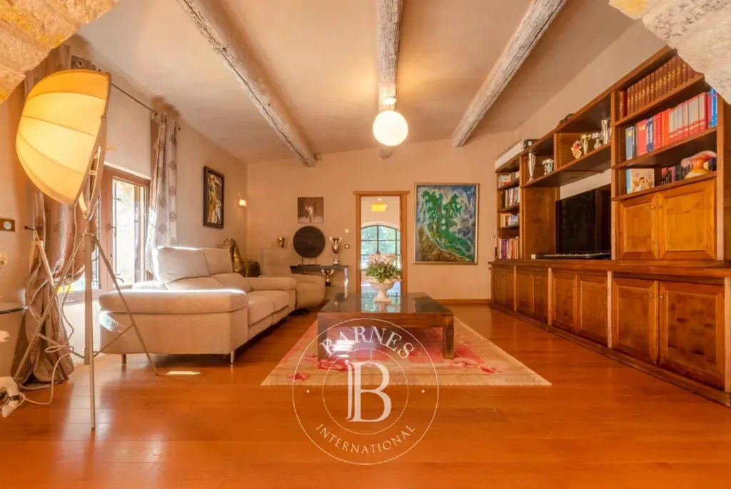 Living Room - 14-room house in Roquefort-les-Pins