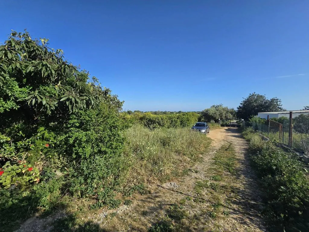 Jardin - Farmhouse with Fruit Trees near Tavira