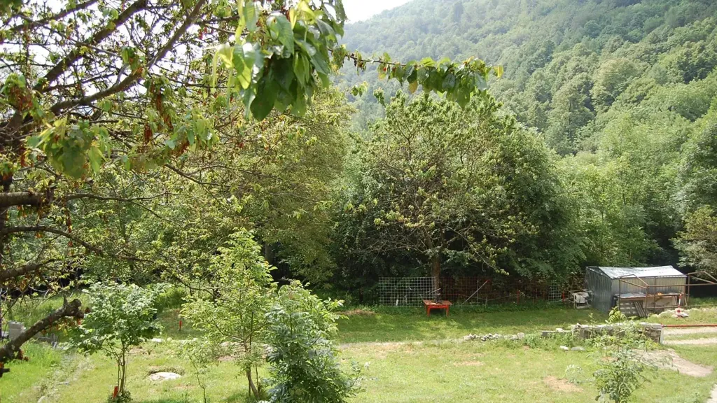 garden
