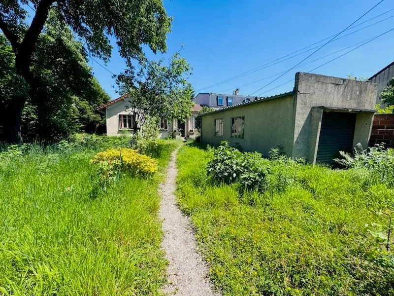 Jardin - Maison avec Jardin Arboré à Chelles
