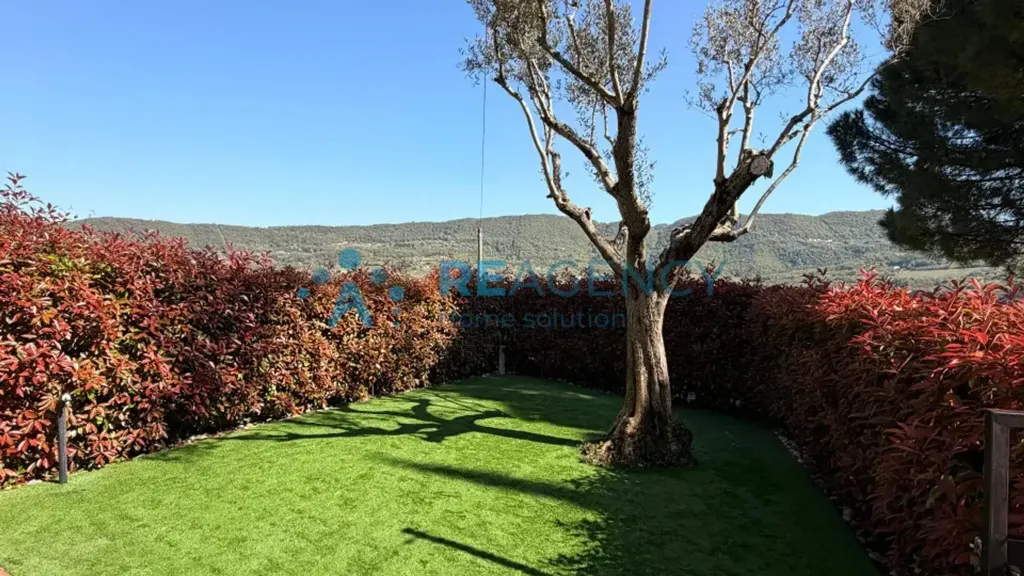 Aed - Restored Villa with Garden in Brendola