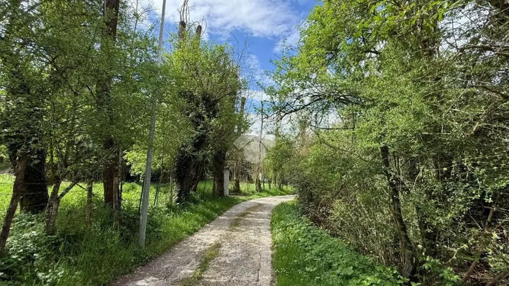 Aed - Independent House with Private Garden in Agosta