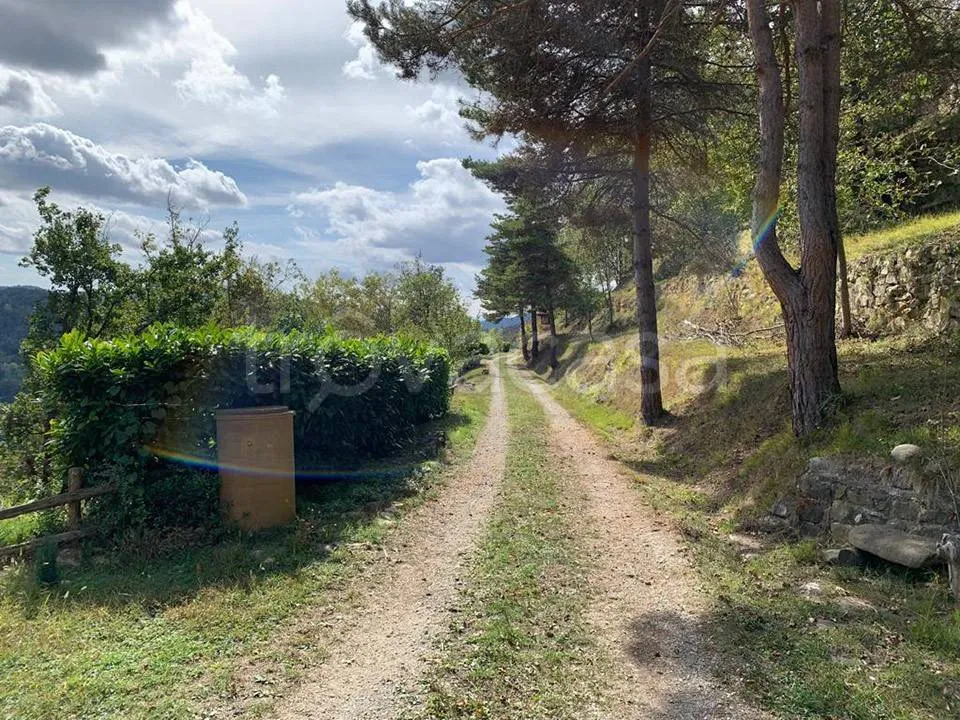 Aed - Restored Rustic Homes with Garden in Cortemilia