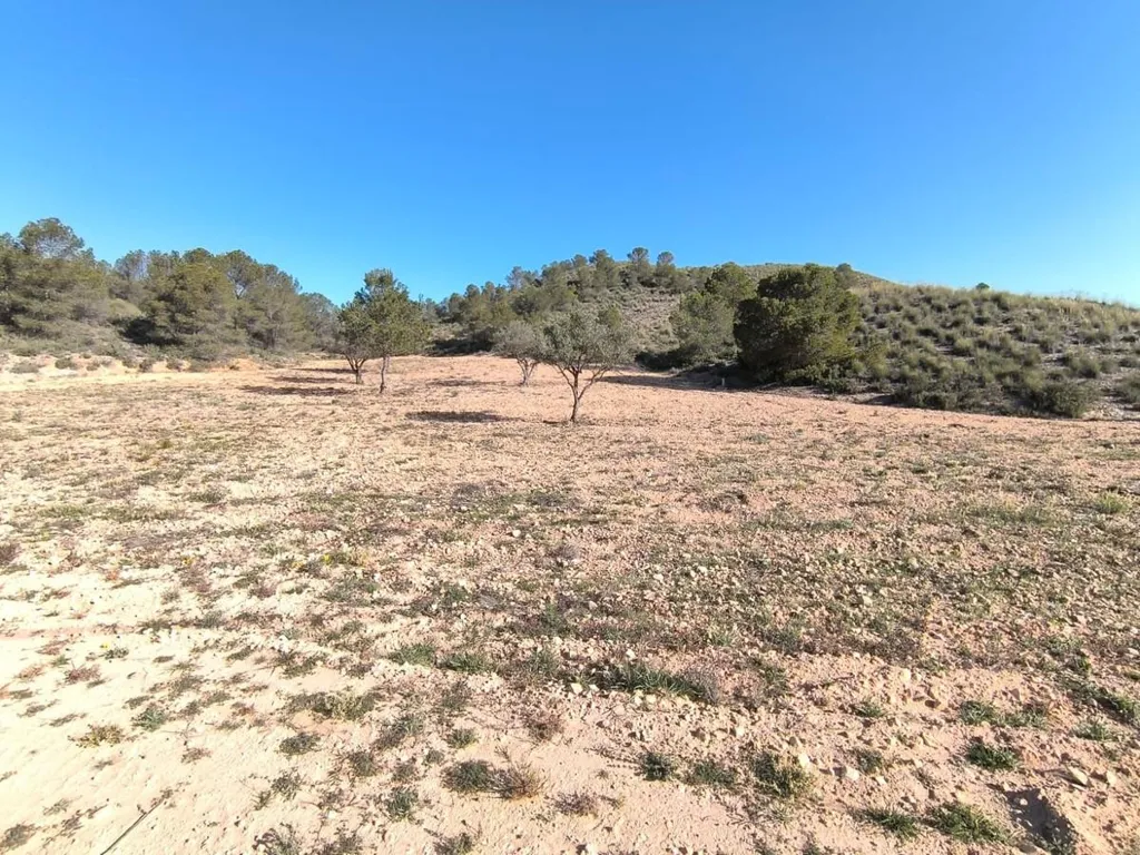 Jardin - Large Plot near Yecla