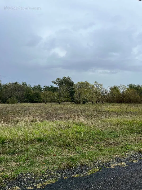 Giardino - Buildable Plot with Garden in Cezac Centre