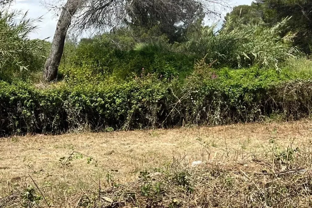 Aed - Land with Construction Permits in Mougins