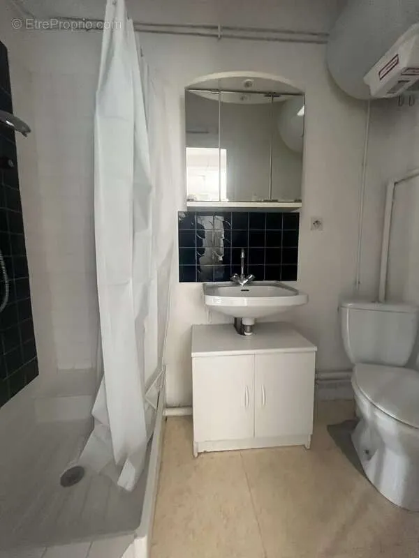 Salles de bain - Appartement Lumineux avec Vue sur la Loire à Orléans