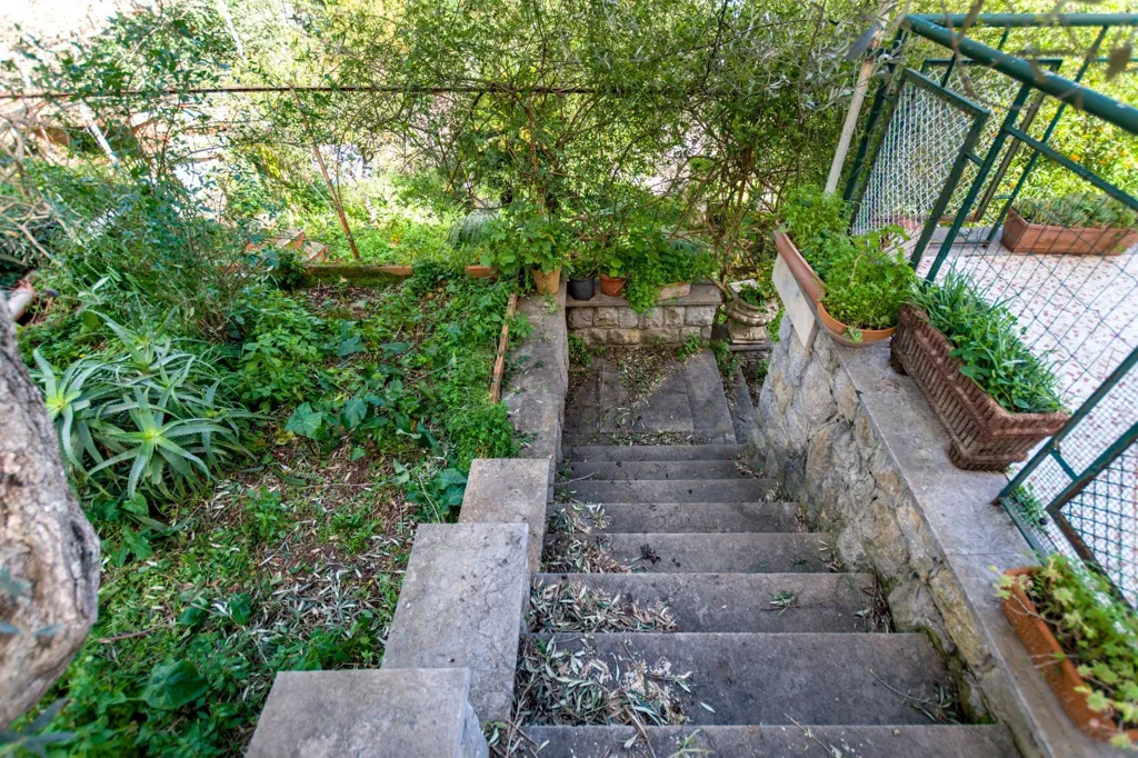 Toad - Villa with Panoramic Views in Monreale