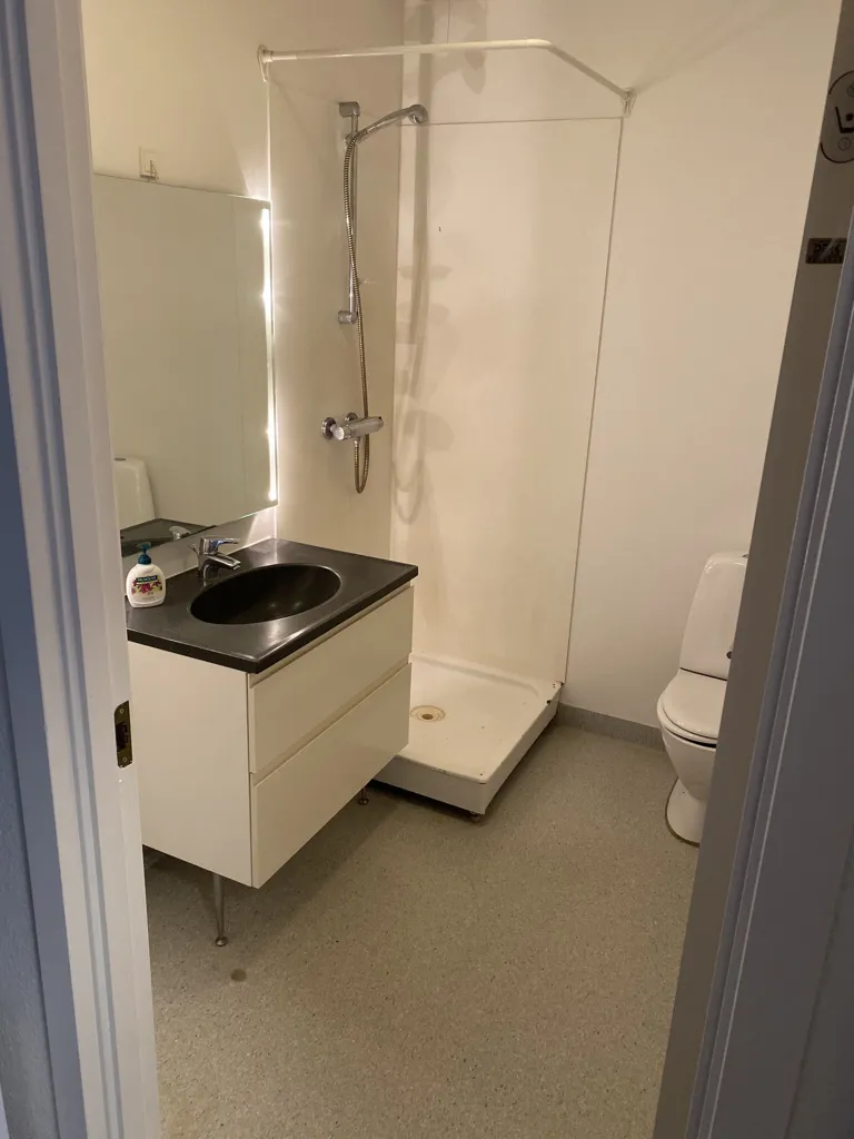 Bagni - Apartment with New Flooring in Centre Vejen