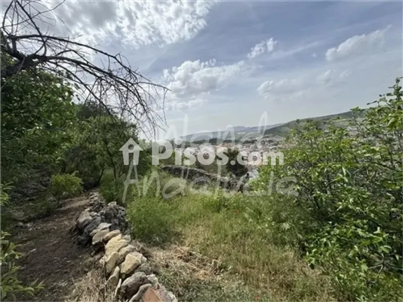 Jardin - House with Views in Alcalá la Real