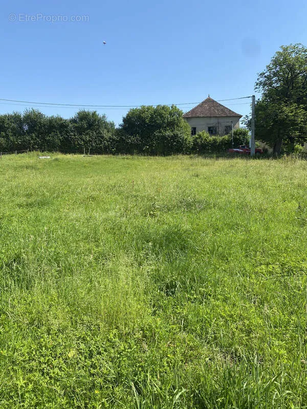 Jardin - Terrain au Calme avec Vue Sud à Brangues