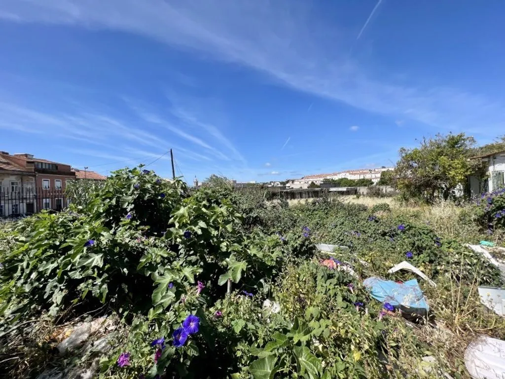 Jardin - Rural Land with Urban Potential in Ajuda, Lisbon