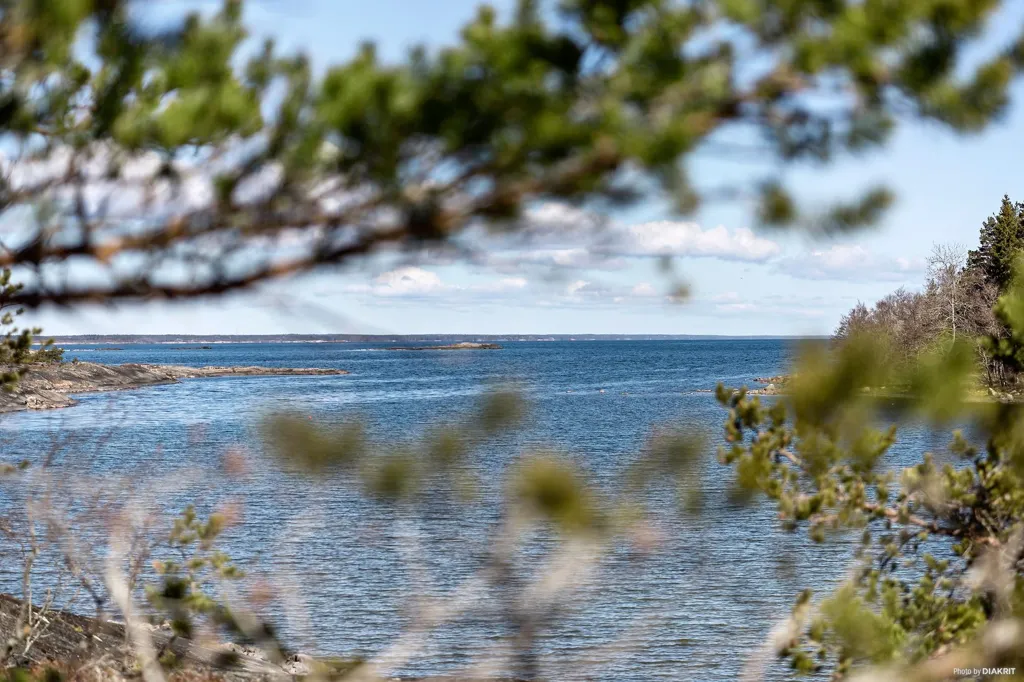 Large Plot with Sea Access in Utanå