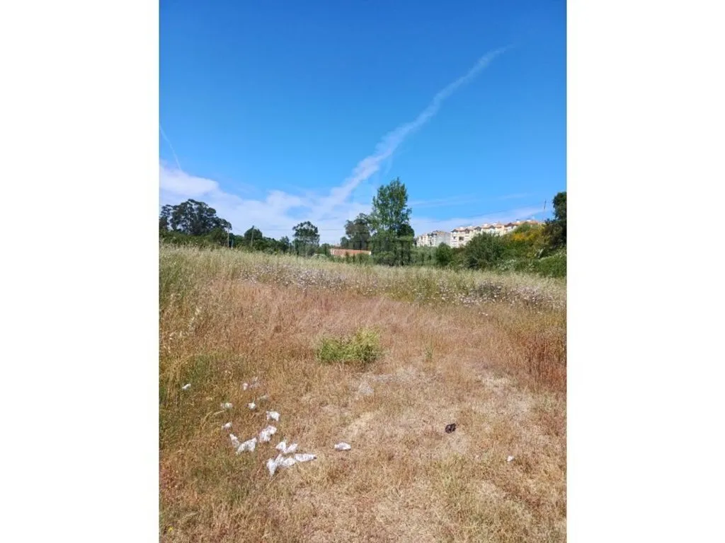 Jardin - Development Opportunity in Santarém City Centre