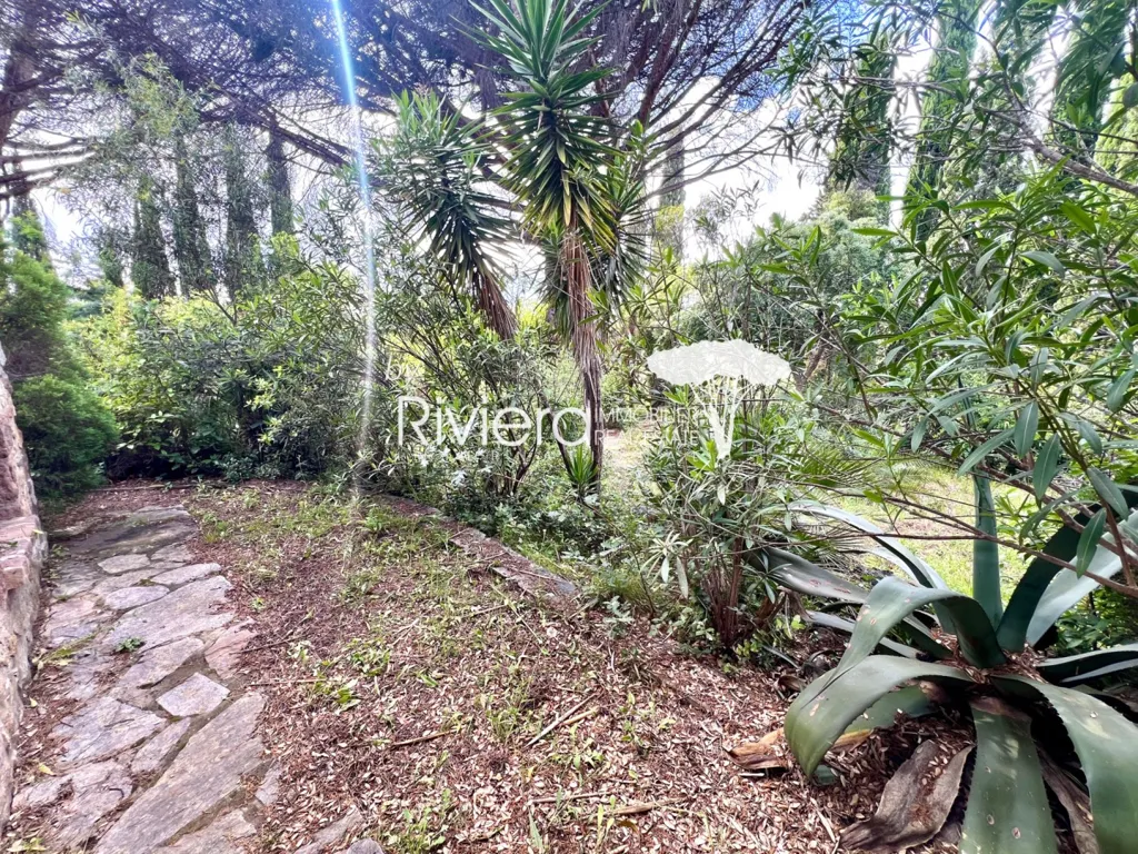 Jardin - Villa à Rénover avec Terrasse à Gassin