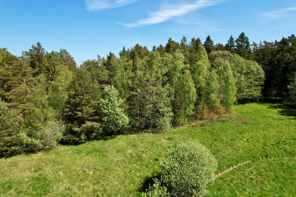 Garden - Waterfront Plot with Meadow on Ingmarsö