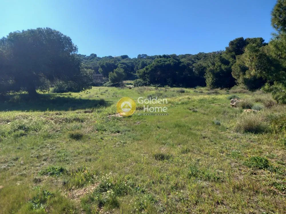 Jardin - Plot with Sea View in Central Area