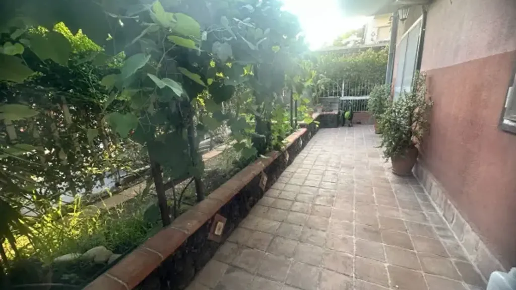 terrace_patio