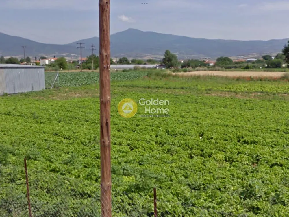 Aed - Central Plot with Large Façade in Vasilika