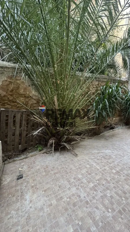 Garden - Semi-Basement Apartment with Garden in Athens Centre
