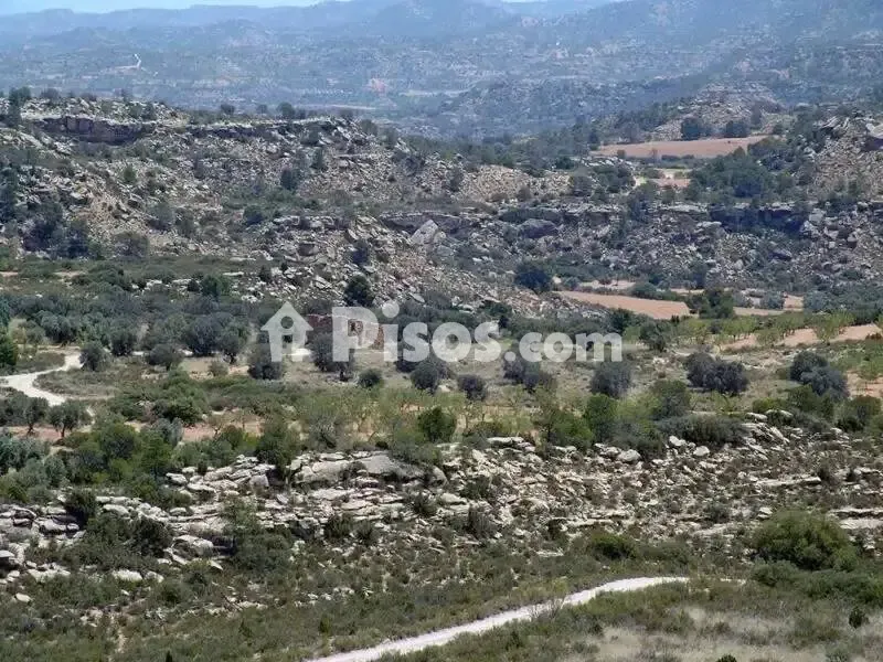 Aed - Rustic Hunting Estate in Alcañiz