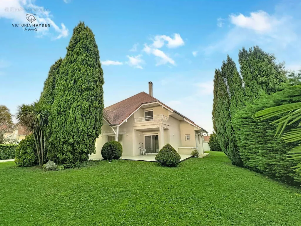 Jardin - Maison contemporaine avec terrasse à Idron