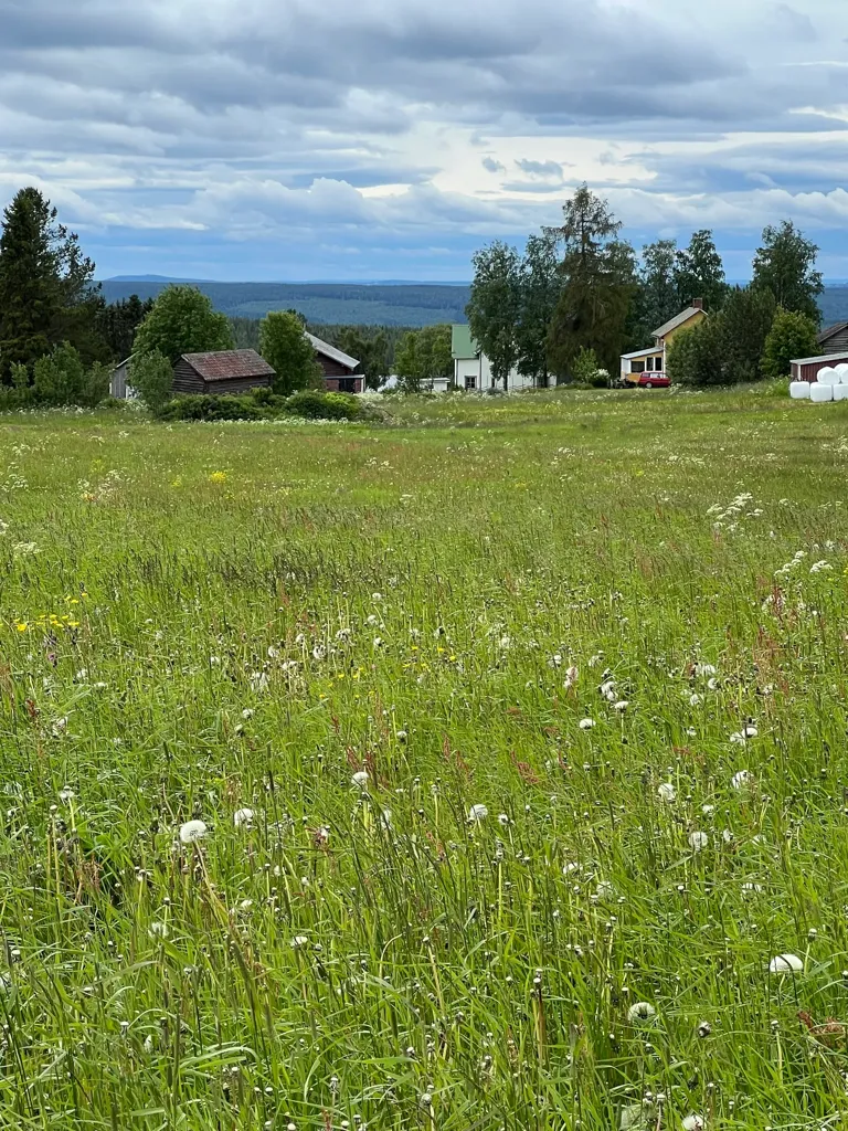 Jardin - Farm with Panoramic View near Östersund