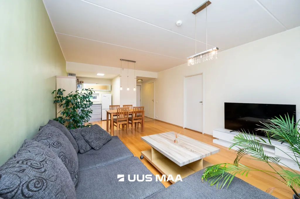 Séjour - Spacious 2-Bedroom Flat with Sauna in Tallinn