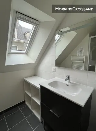 Salles de bain - Appartement de Charme avec Terrasse dans le Centre de Tours