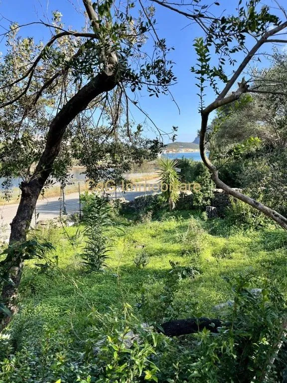 Jardin - Villa with Sea View in Golfo Aranci