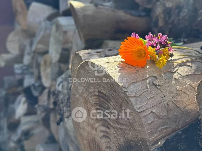 Toad - Villa with Pool in Monterosso Almo