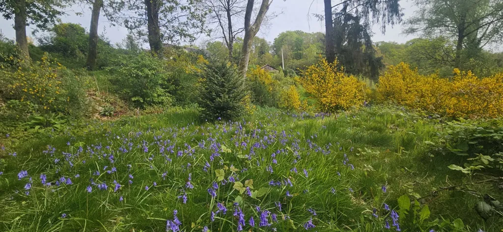 Jardin - Maison de Plain-Pied avec Terrain Boisé à Callac