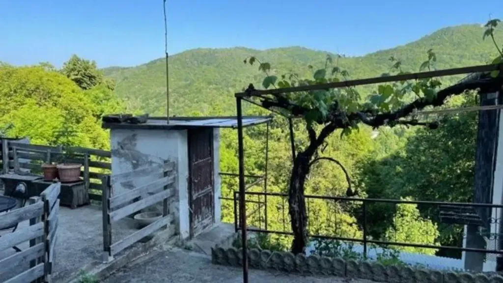 terrace_patio