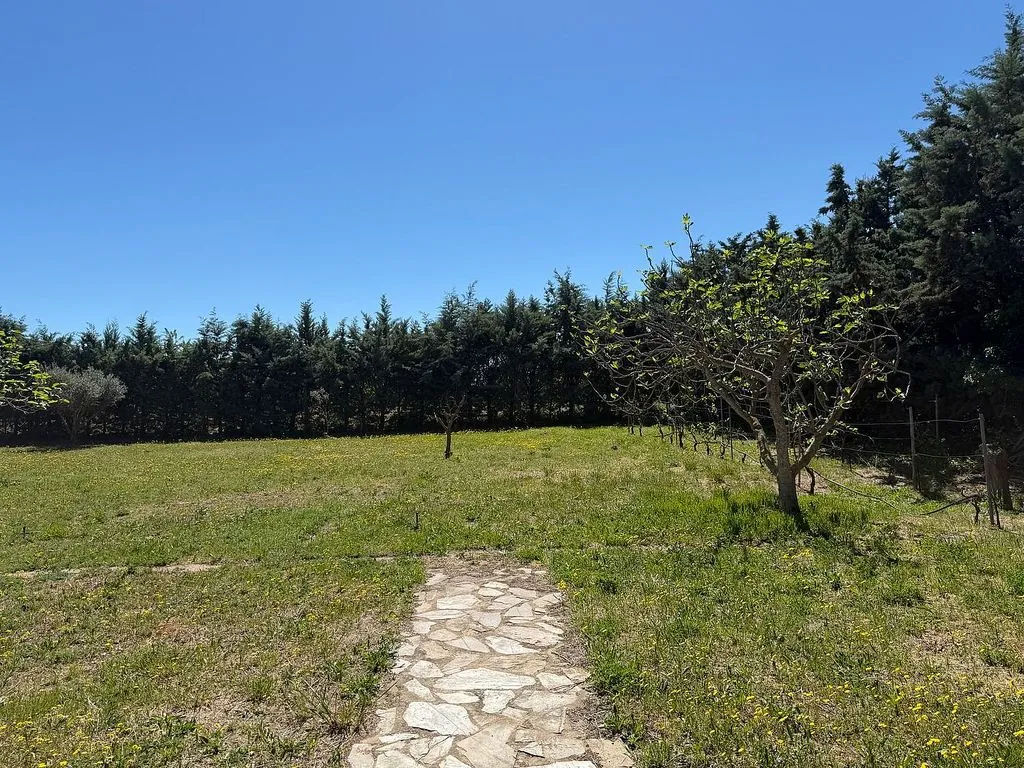 Aed - Rural House with Pool in Corella